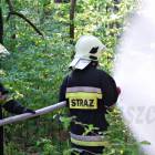 zdjęcie nr 42