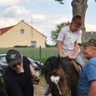 zdjęcie nr 143