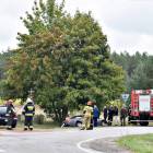 Fotka nr 5 z 8