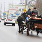 zdjęcie nr 378