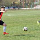 zdjęcie nr 17