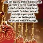 zdjęcie nr 15