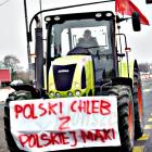 zdjęcie nr 145