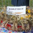 zdjęcie nr 102