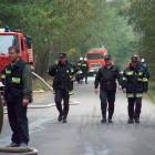 zdjęcie nr 31