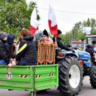 zdjęcie nr 103