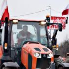 zdjęcie nr 50