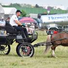 zdjęcie nr 38