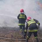 zdjęcie nr 21