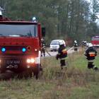 zdjęcie nr 17