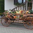 zdjęcie nr 93