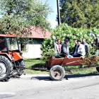 zdjęcie nr 75
