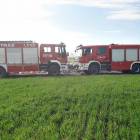 Fotka nr 2 z 4