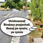 zdjęcie nr 13
