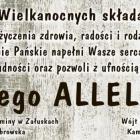 zdjęcie nr 15