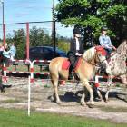 zdjęcie nr 97