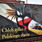 zdjęcie nr 10