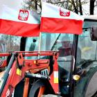 zdjęcie nr 103