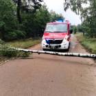 zdjęcie nr 9