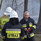 Fotka nr 1 z 47