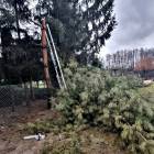 zdjęcie nr 11