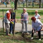 zdjęcie nr 31
