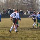 zdjęcie nr 8