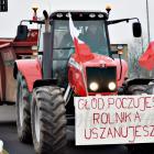 zdjęcie nr 48