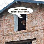 Fotka nr 3 z 15