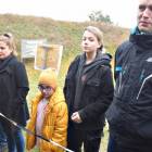 zdjęcie nr 31