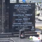 zdjęcie nr 113
