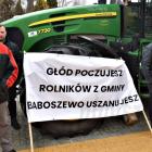Fotka nr 2 z 31