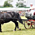 zdjęcie nr 76