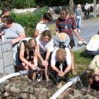 zdjęcie nr 98