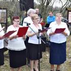 zdjęcie nr 386