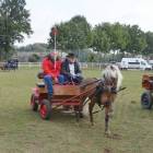 zdjęcie nr 18