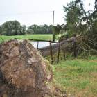 zdjęcie nr 19