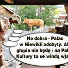zdjęcie nr 12