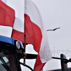zdjęcie nr 12