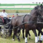 zdjęcie nr 18