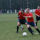 Fotka nr 2 z 43
