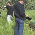 zdjęcie nr 10