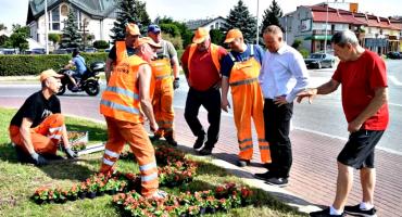 Rocznicowe begonie na rondzie - dziś 40-lecie parafii św. Maksymiliana 