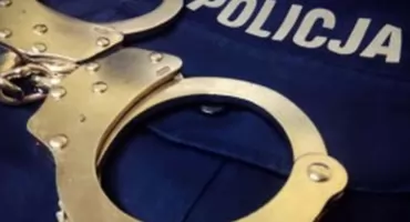 Amator europalet zatrzymany na gorącym uczynku